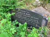 image of grave number 388424